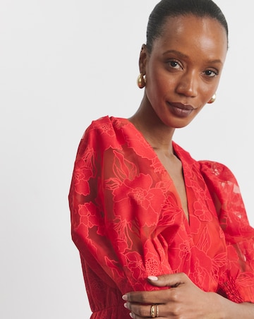 Joanna Hope Sheer Floral Dress