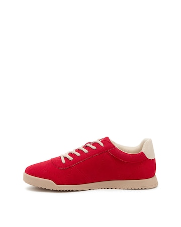 Rocket Dog Bertie Colour Trainers