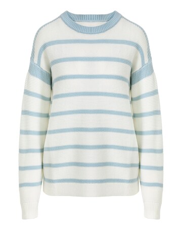 Blue Stripe Crew Neck Jumper