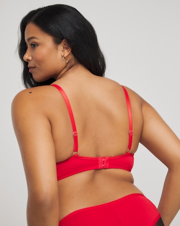 Simply Be Sexy Sheer Mesh Plunge Bra