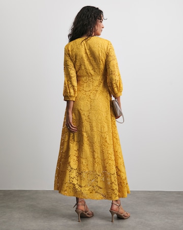 Joanna Hope Stretch Lace Dress