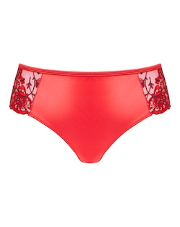 Contemporary Embroidery Midi Brief