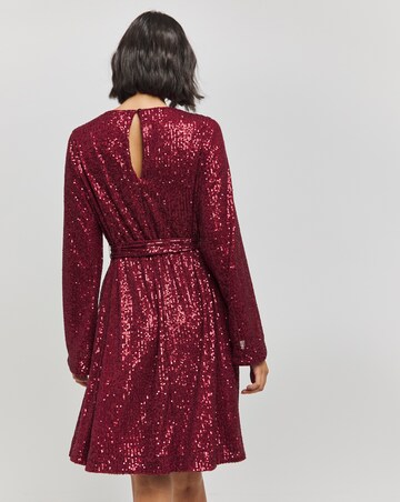 Wine Sequin Skater Dress