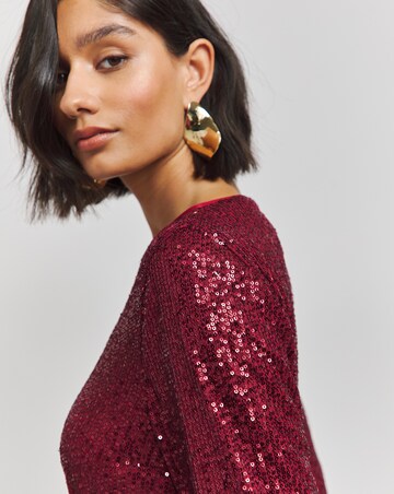 Wine Sequin Skater Dress