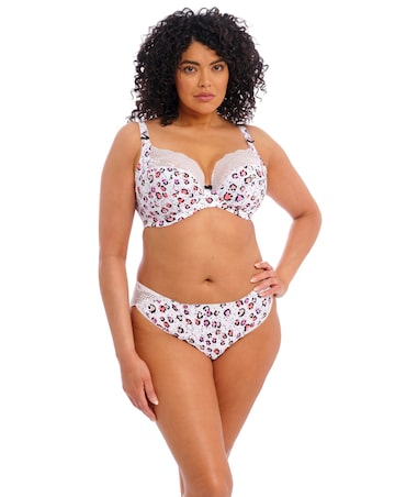 Elomi Lucie High Leg Knicker Rumble