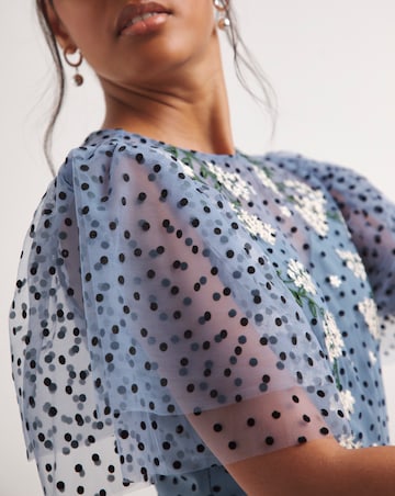 Joanna Hope Mesh Spot Midi Dress