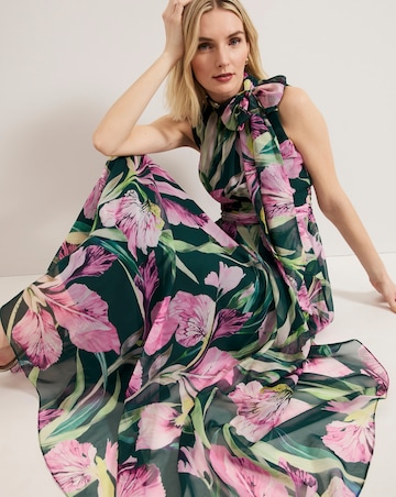 Phase Eight Lucinda Print Maxi Dress