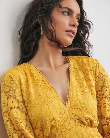 Joanna Hope Stretch Lace Dress