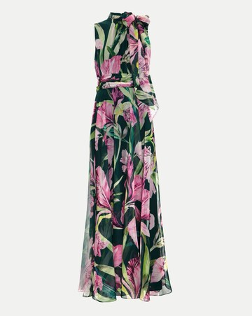 Phase Eight Lucinda Print Maxi Dress