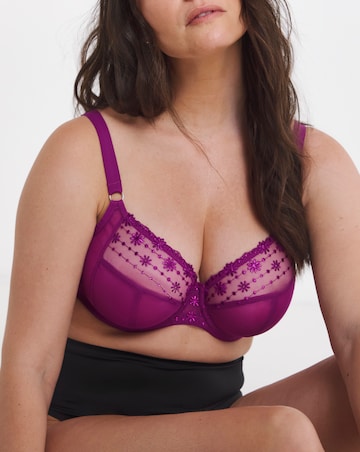Elomi Matilda Plunge Wired Bra Hollyhock