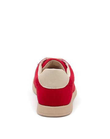 Rocket Dog Bertie Colour Trainers