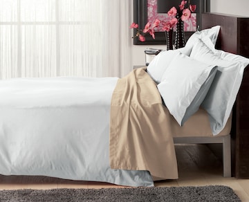 EGYPTIAN COTTON D/C