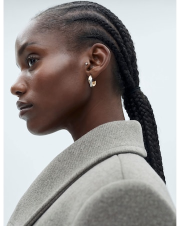 Mango Coat Eye